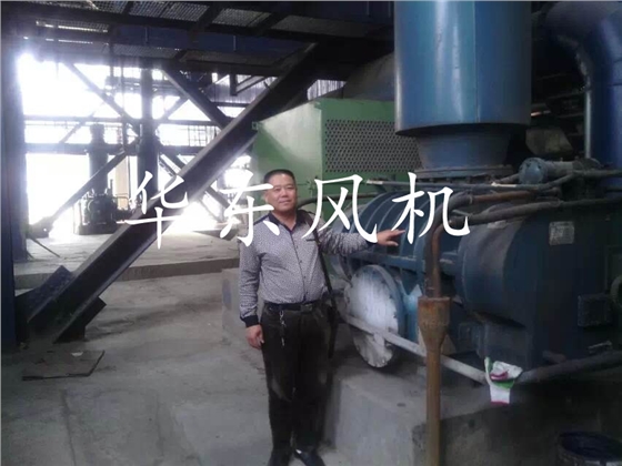 福建興業(yè)皮革集團有限公司使用現(xiàn)場 福建興業(yè)皮革集團有限公司使用現(xiàn)場