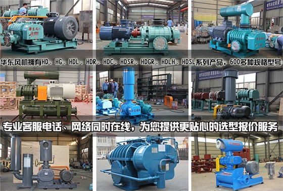 羅茨風(fēng)機(jī)型號(hào)及參數(shù) 羅茨風(fēng)機(jī)型號(hào)及參數(shù)
