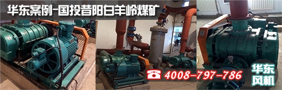 特殊密封羅茨風(fēng)機(jī)