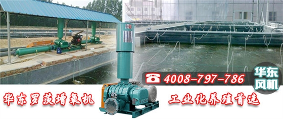 華東羅茨增氧機