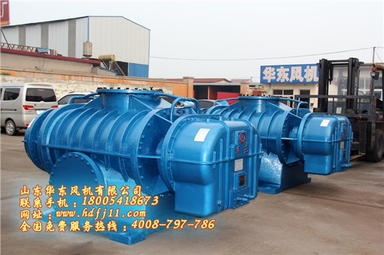 二葉羅茨風(fēng)機(jī) 二葉羅茨風(fēng)機(jī)