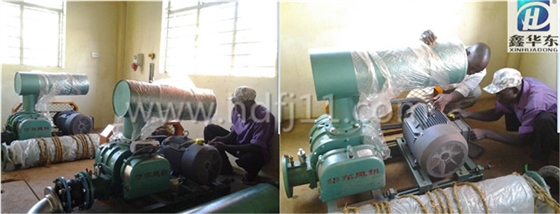 羅茨風(fēng)機(jī)使用現(xiàn)場 羅茨風(fēng)機(jī)使用現(xiàn)場