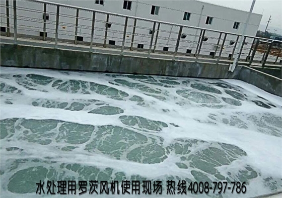 羅茨風機介紹.jpg 羅茨風機介紹.jpg