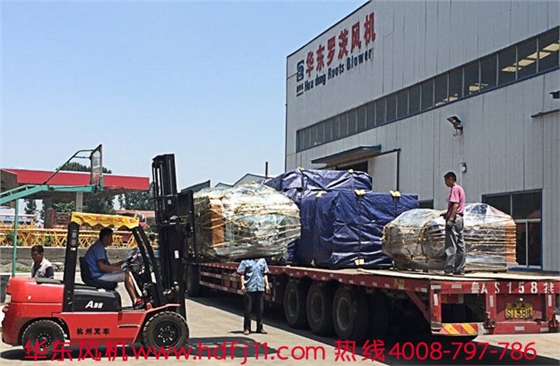 羅茨風(fēng)機(jī)廠家 羅茨風(fēng)機(jī)廠家