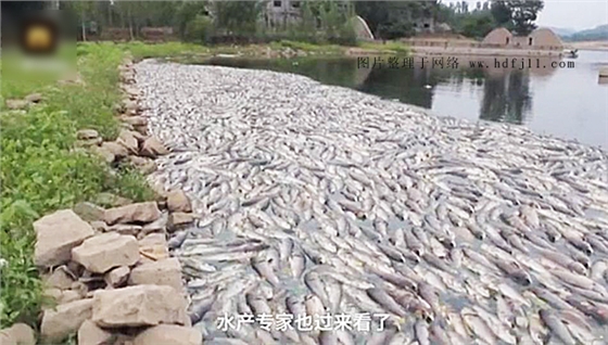 增氧機(jī).jpg 增氧機(jī).jpg