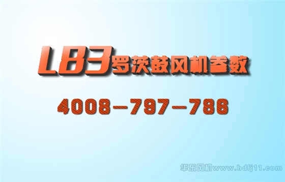 L系列羅茨風(fēng)機(jī)2.jpg L系列羅茨風(fēng)機(jī)2.jpg