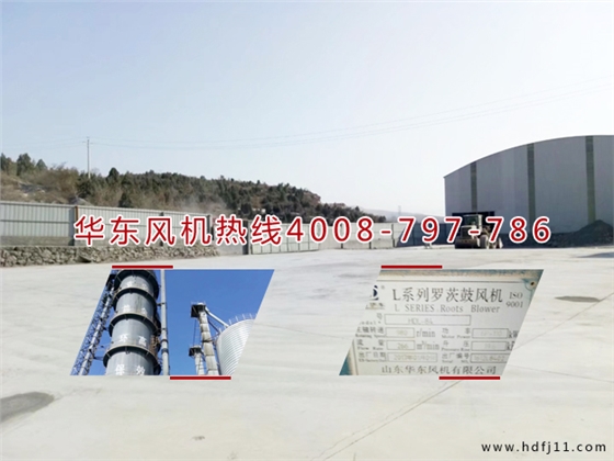 二葉羅茨風(fēng)機(jī) 二葉羅茨風(fēng)機(jī)