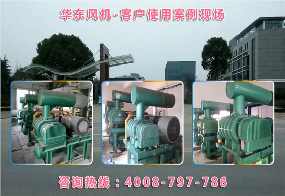 密集型羅茨風(fēng)機 密集型羅茨風(fēng)機