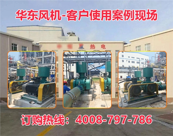 羅茨風(fēng)機(jī) 羅茨風(fēng)機(jī)