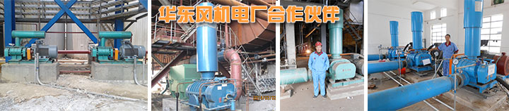 電廠用羅茨風機現(xiàn)場案例