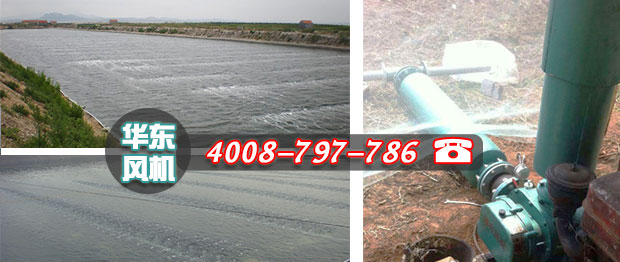 羅茨式增氧機(jī) 羅茨式增氧機(jī)