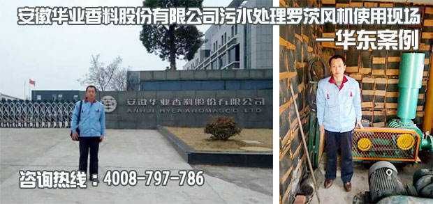 安徽華業(yè)香料污水處理用羅茨風(fēng)機(jī)使用現(xiàn)場(chǎng) 安徽華業(yè)香料污水處理用羅茨風(fēng)機(jī)使用現(xiàn)場(chǎng)