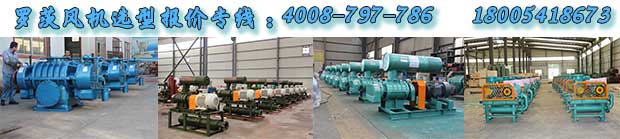 污水處理用羅茨風(fēng)機 污水處理用羅茨風(fēng)機