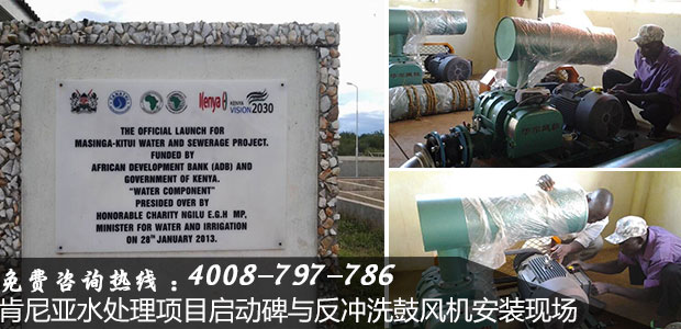 出口羅茨風(fēng)機(jī) 出口羅茨風(fēng)機(jī)