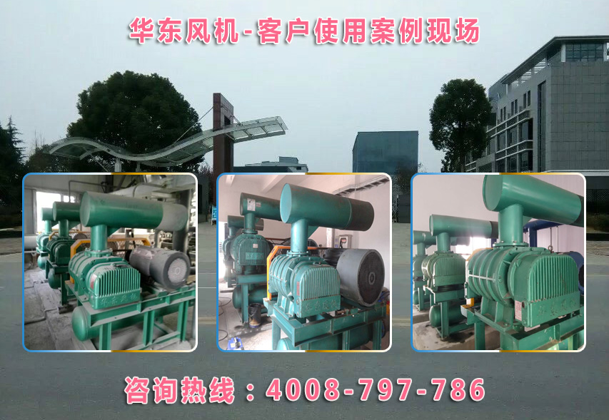 密集型羅茨風(fēng)機(jī) 密集型羅茨風(fēng)機(jī)