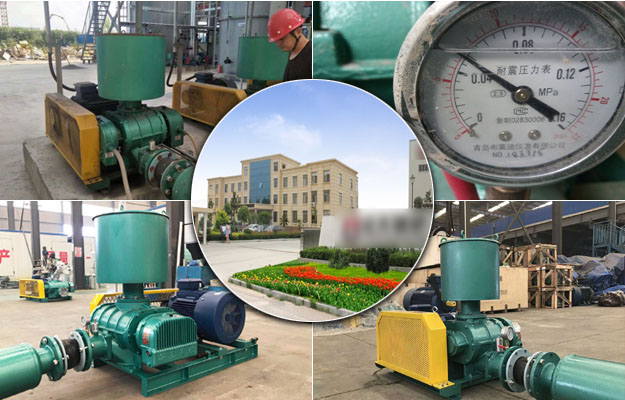 羅茨風(fēng)機(jī) 羅茨風(fēng)機(jī)