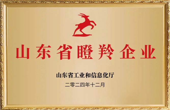 華東榮譽(yù)-山東省瞪羚企業(yè)