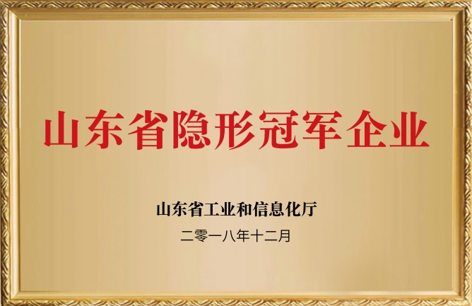 華東榮譽(yù)-山東隱形冠軍企業(yè)